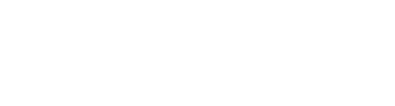logo blanc synaptys